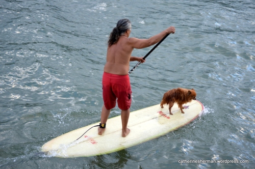 A man and his dog paddleboard in Hanalei Bay on the island of Kaua'i in Hawai'i.