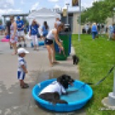 There were plenty of wading pools for dogs to enjoy at Bark at the Park at Kaufman Stadium on June 22, 2014.