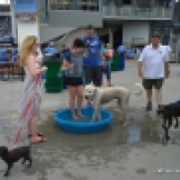 Dog and human cool off at Bark at the Park at Kauffman Stadium when the Kansas City Royals played the Seattle Mariners on June 22, 2014.