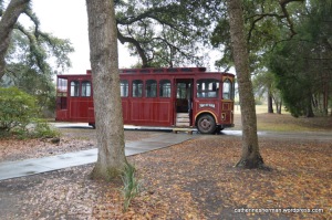 Guests tour the Charleston Tea Plantation on one of two trolleys. This one was purchased from the Kentucky Derby city of Louisville, Kentucky, and still retains its name of "Man of War," a famous race horse.